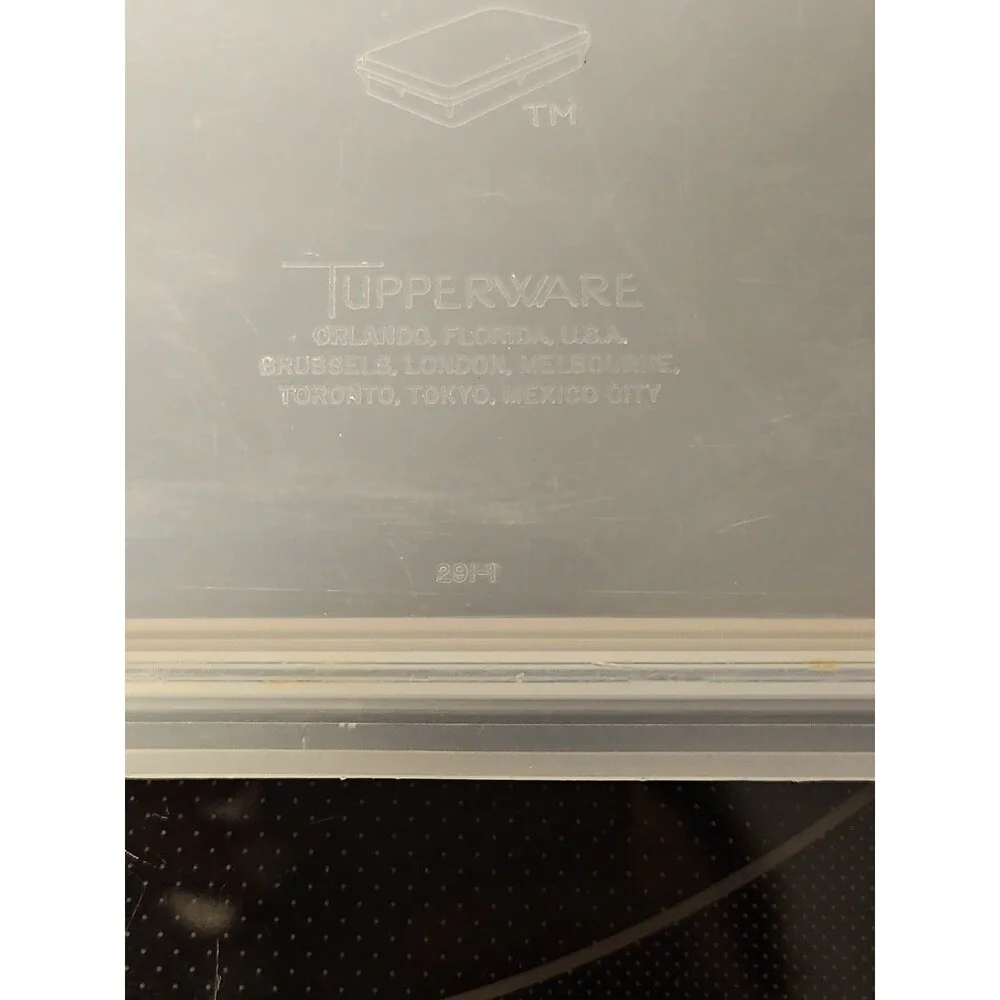 Vintage Tupperware Handolier #290 Sheer Rectangle Keeper With #291 Lid READ